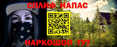 Альфа ПВП Краснодар